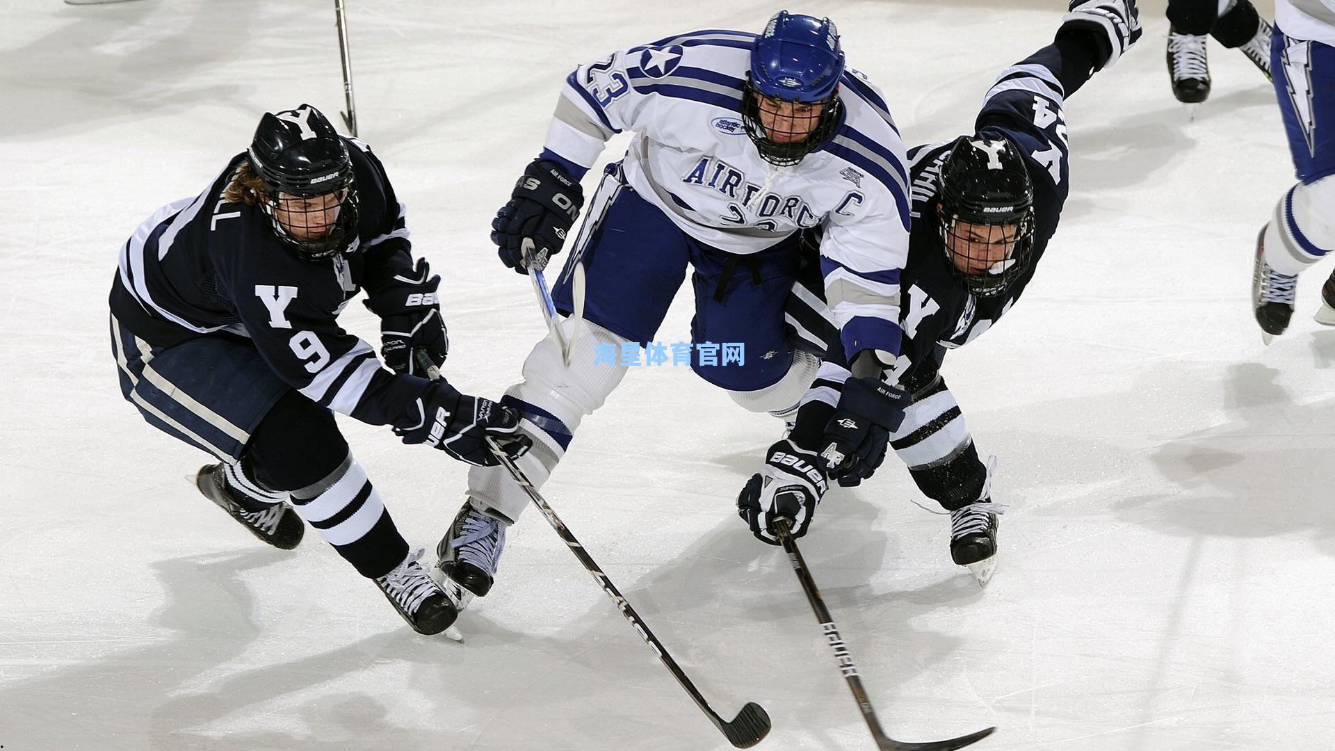 粤看台基金携足球名宿走进广东金融学院，绿茵传技，金融与体育共绘青春蓝图