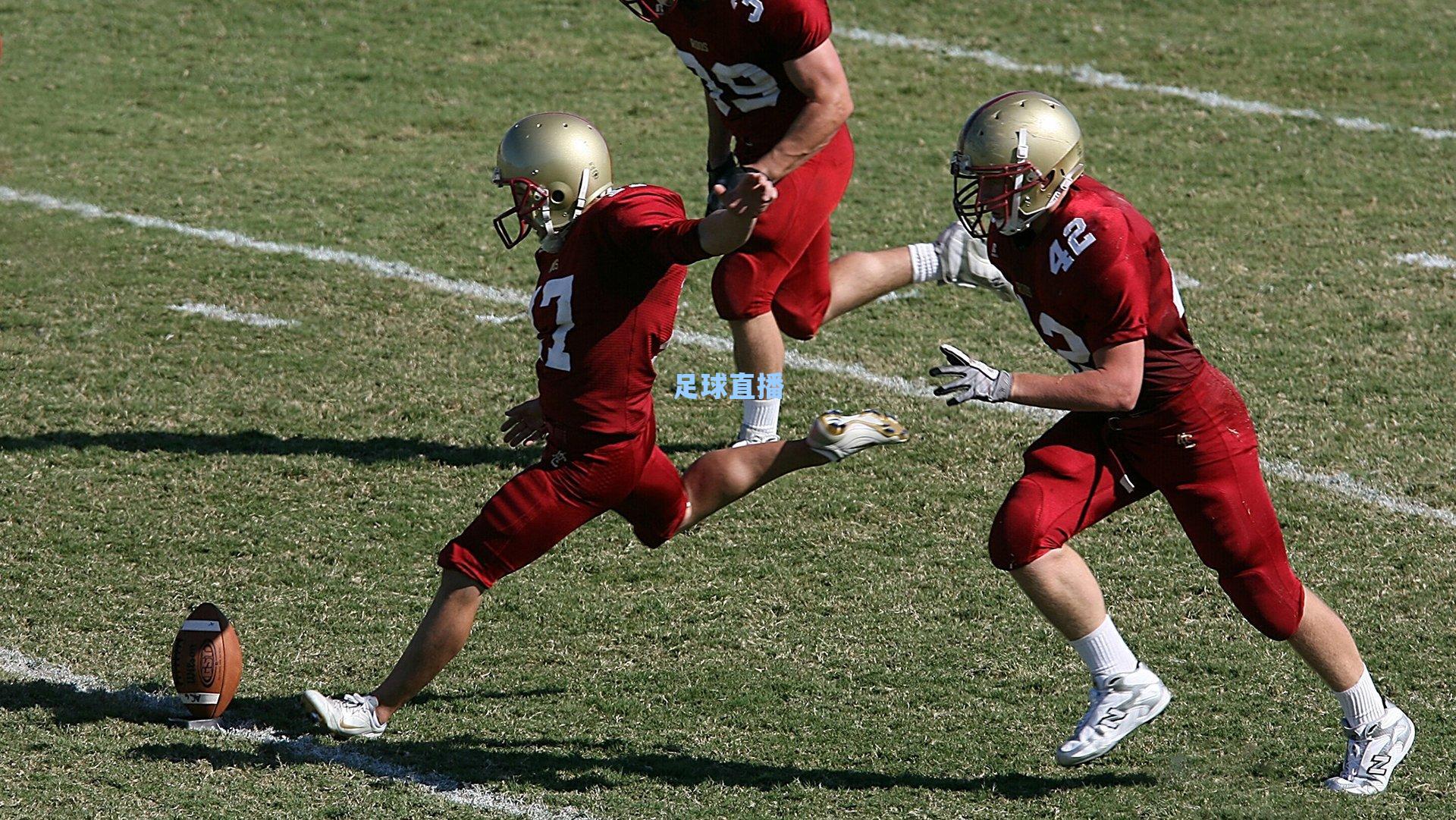 周六德甲焦点战，霍芬海姆主场迎战汉堡，冲级与保级间的战术博弈
